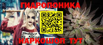 сатива Северобайкальск