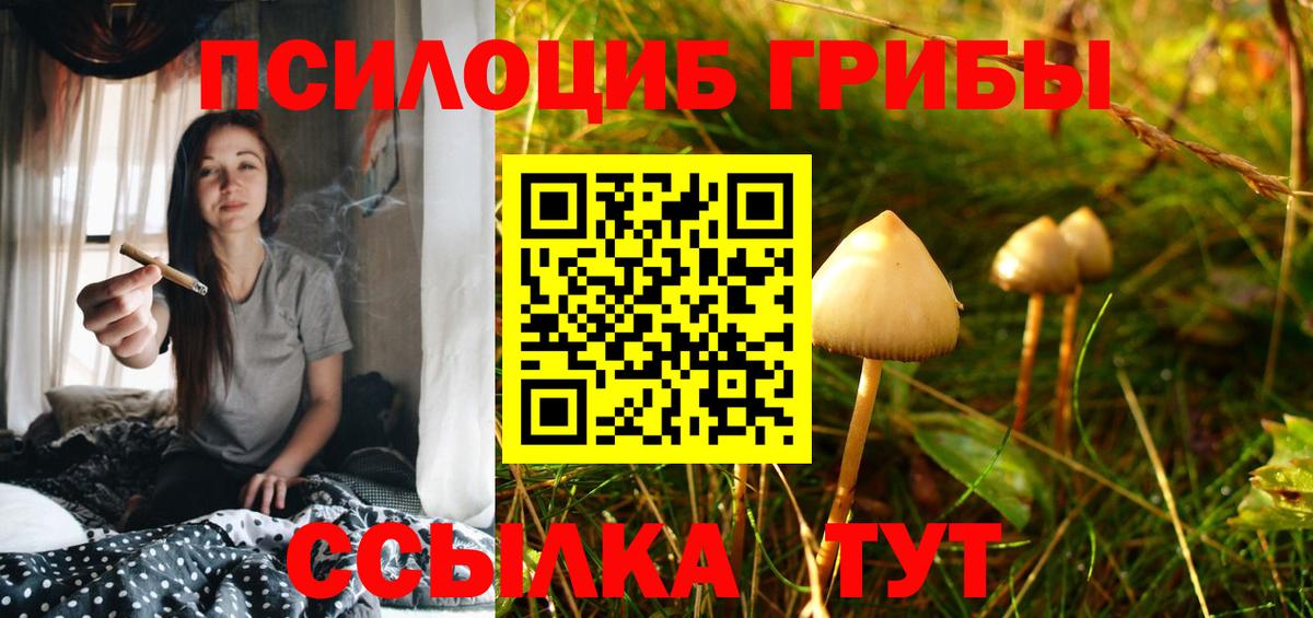 Галлюциногенные грибы прущие грибы  Вход с VPN  Псилоцибиновые грибы Psilocybine cubensis  магазин  наркотиков  Санкт-Петербург 