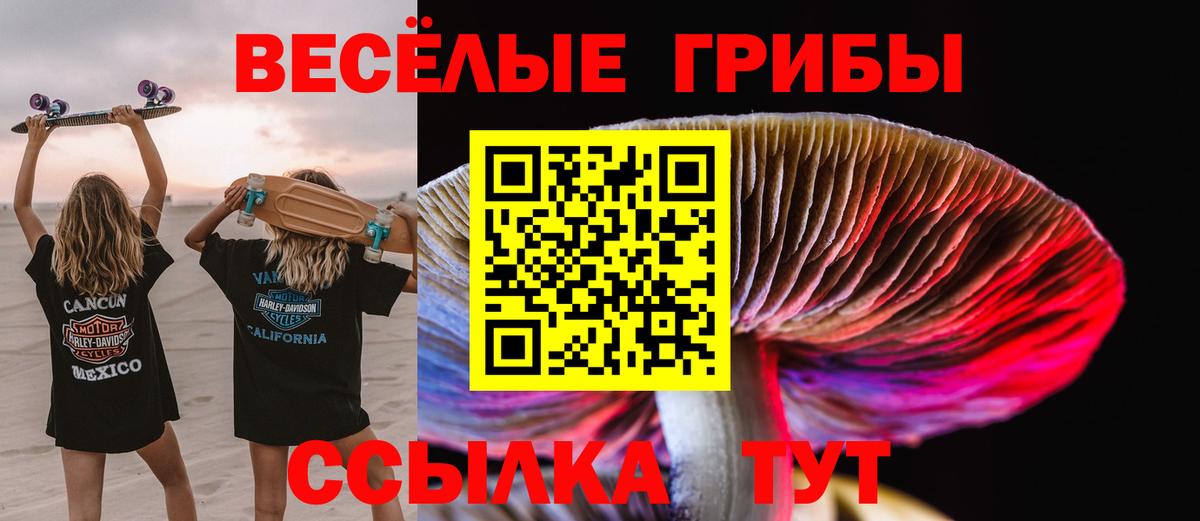 ГАШИШ Санкт-Петербург